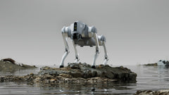 Unitree Go2 Pro AI Quadruped Robot Dog 4D LiDAR